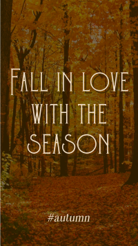 Minimalist Autumn Season Quotes YouTube Short