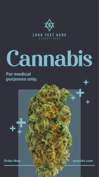 Medicinal Cannabis TikTok Video Design