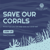 Care for the Corals Linkedin Post