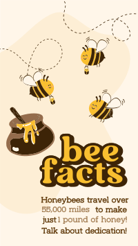 Honey Bee Facts Instagram Reel