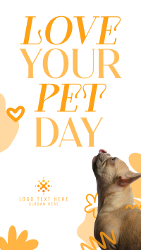 Love Your Pet Today TikTok Video