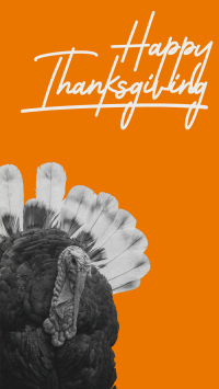 Orange Thanksgiving Turkey Instagram Story