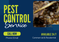 Professional Pest Control Postcard