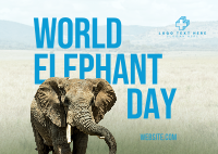 World Elephant Day Postcard