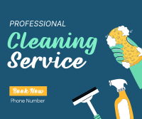 Professional Cleaner Facebook Post