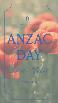 Poppy Flower Anzac Day Video