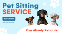 Pet Sitting Services Modern Animation