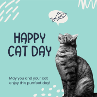 Simple Cat Day Instagram Post Design