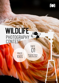 Wildlife Photography Contest Poster