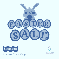 Easter Bunny Promo Instagram Post Image Preview