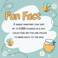 Bee Day Fun Fact Instagram Post