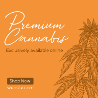 Premium Marijuana Linkedin Post