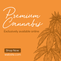 Premium Marijuana Linkedin Post Design