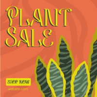 Quirky Plant Sale Instagram Post