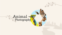 Safari Animals Photography YouTube Banner