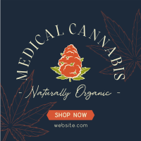 Cannabis Therapy Instagram Post