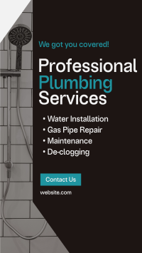 Professional Plumbing Service TikTok Video