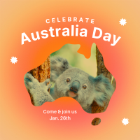 Australian Koala Instagram Post