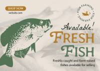 Fresh Fishes Available Postcard