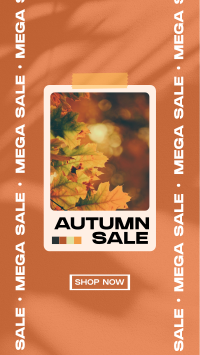 Picture Autumn Sale Instagram Reel