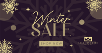 Winter Snowball  Sale Facebook Ad