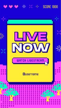 Pixel Livestreamer Facebook Story