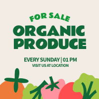 Organic Vegetables Instagram Post
