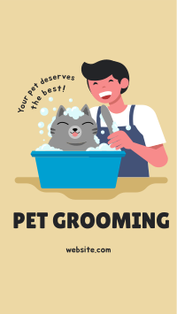 Grooming Cat Instagram Story