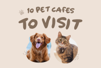 Furry Friends Pinterest Cover Image Preview