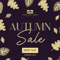 Deep  Autumn Sale Linkedin Post