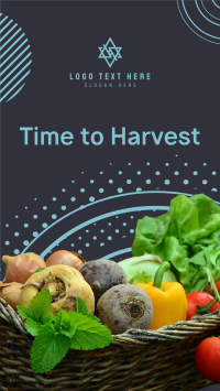 Harvest Vegetables Facebook Story