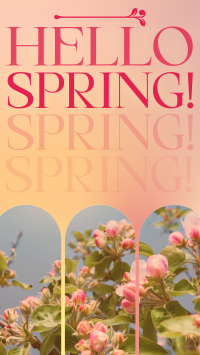 Retro Welcome Spring Facebook Story