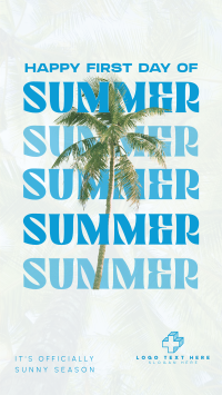 Summer Palm Tree Instagram Reel