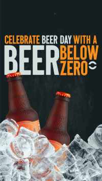 Beer Below Zero TikTok Video