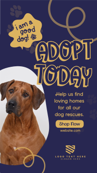 Dog Adoption Instagram Story