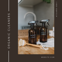 Organic Cleaning Business Instagram Post