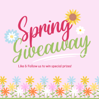 Hello Spring Giveaway Instagram Post