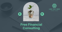 Financial Consulting Facebook Ad