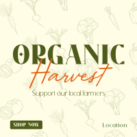 Organic Harvest Instagram Post