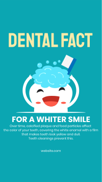 Whiter Smile Facebook Story