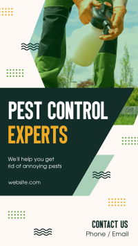 Pest Control Experts Instagram Story