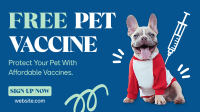 Pet Health Vaccine Animation