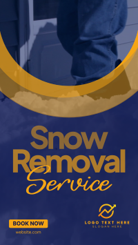 Snow Removal Service Instagram Reel