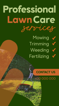 Professional Lawn Care Services YouTube Short