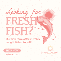 Fresh Fish Farm Linkedin Post
