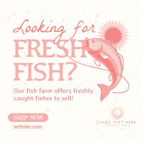 Fresh Fish Farm Linkedin Post Design