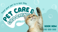 Pet Care and Grooming Animation