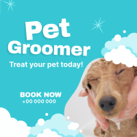 Professional Pet Groomer Instagram Post