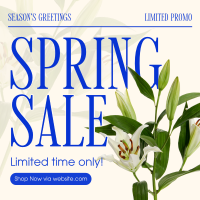 Spring Season Promo Instagram Post