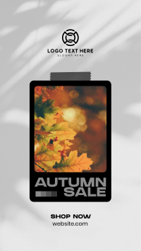 Picture Autumn Sale Instagram Reel